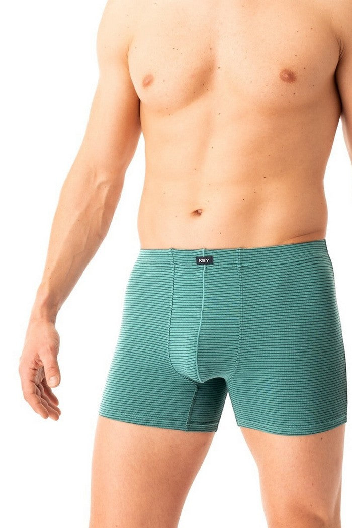 Мужские трусы шорты MXH 328 B25 green