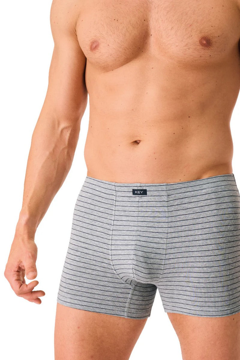 Мужские трусы шорты MXH 378 gray