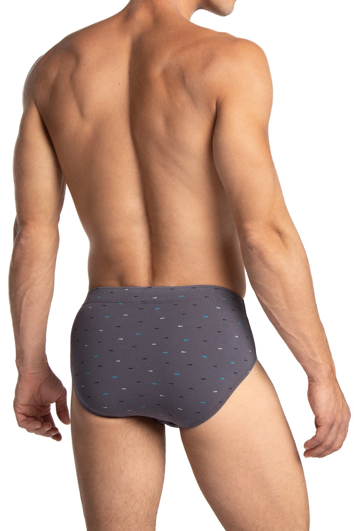 Мужские трусы слип 1075CL blue/gray (2 шт.)