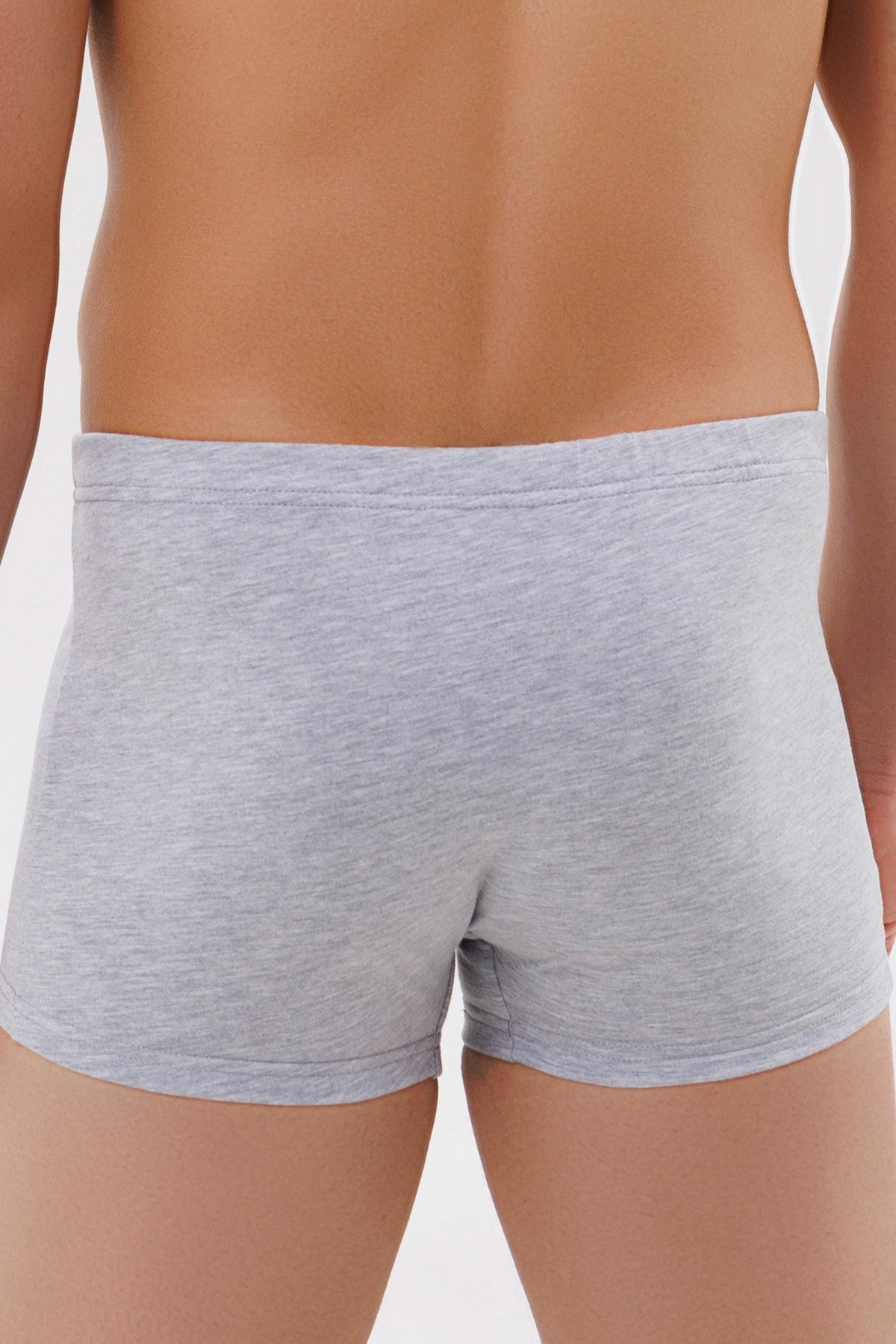 Хлопковые мужские трусы шорты 1118/16194