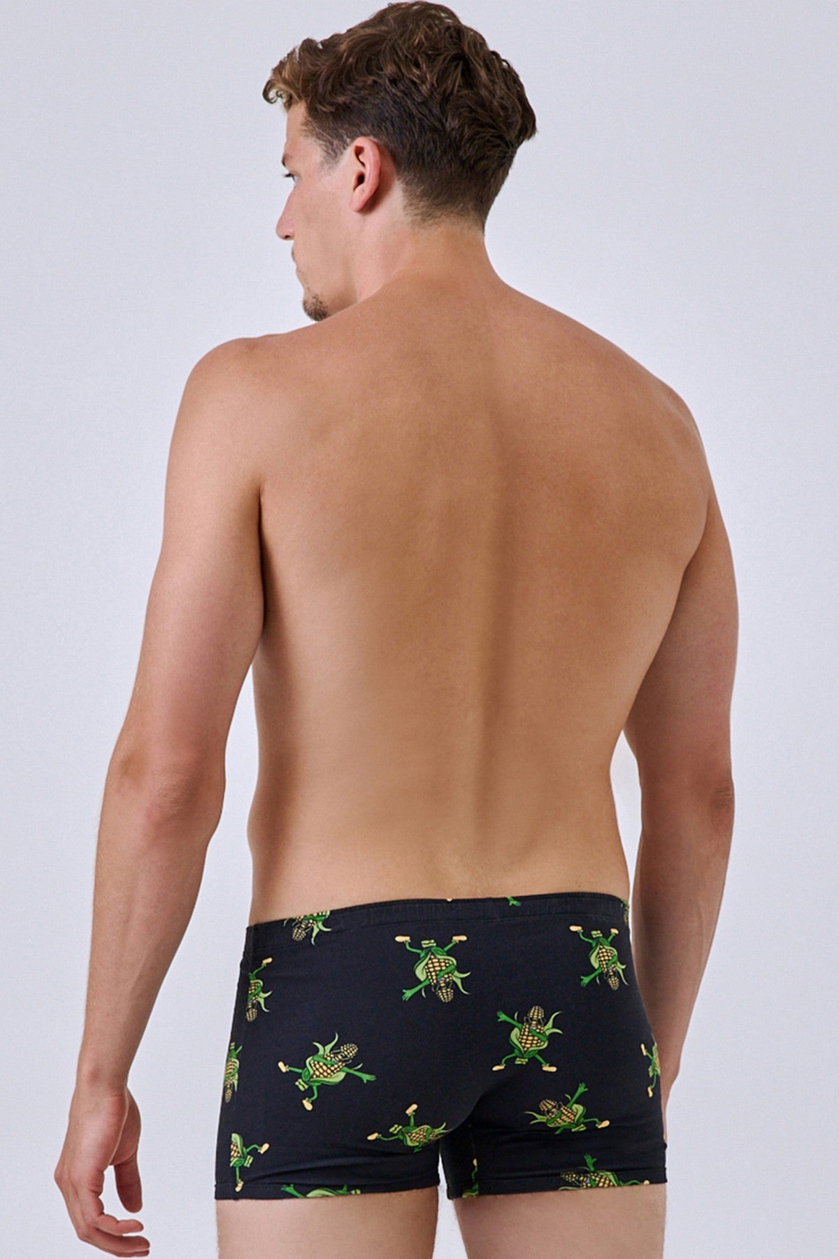 Мужские трусы шорты 1801/16319