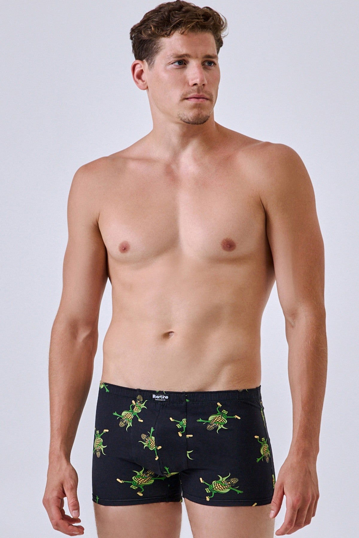 Мужские трусы шорты 1801/16319