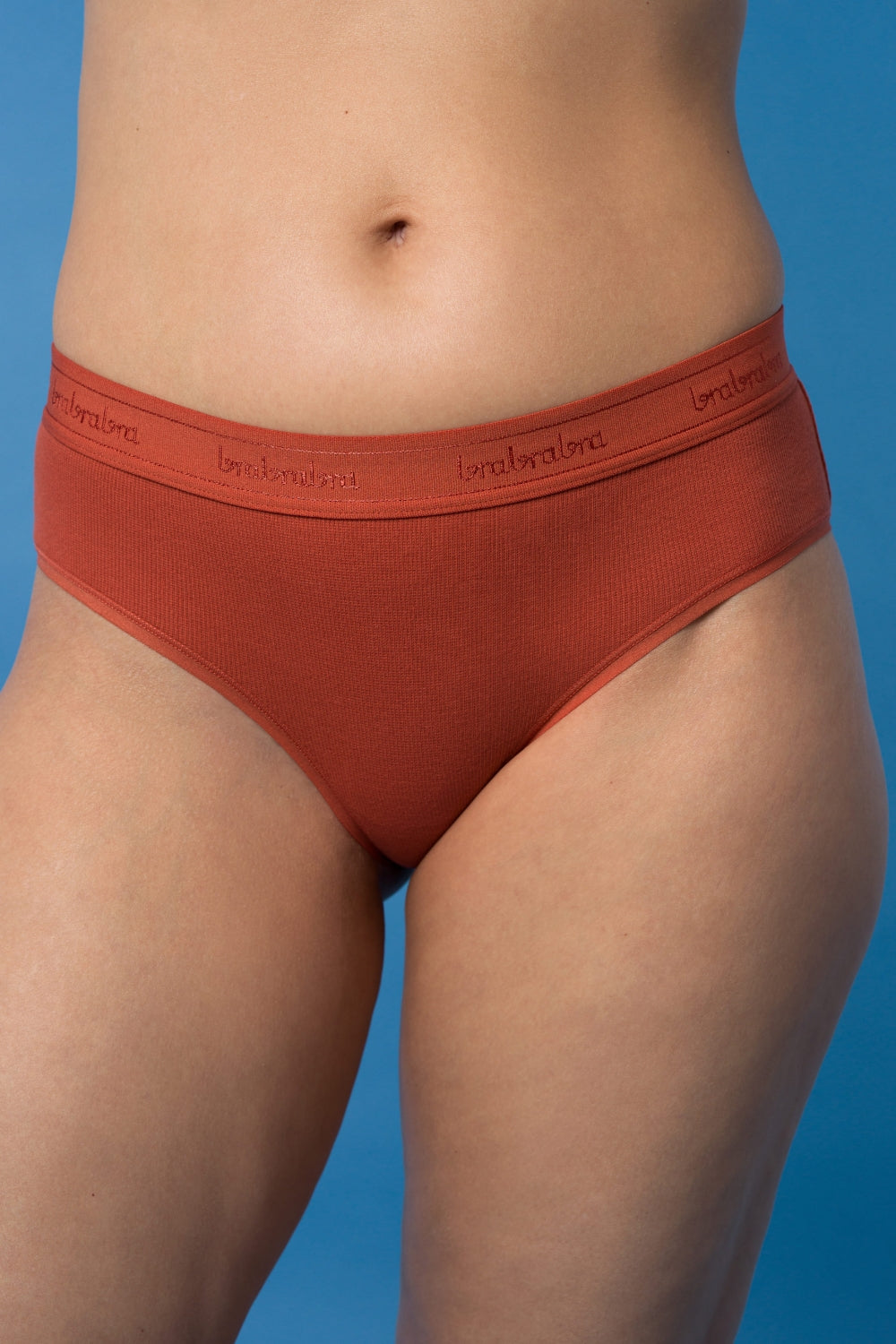 Набор хлопковых трусиков брифов SLZ24402003 (3 шт.)