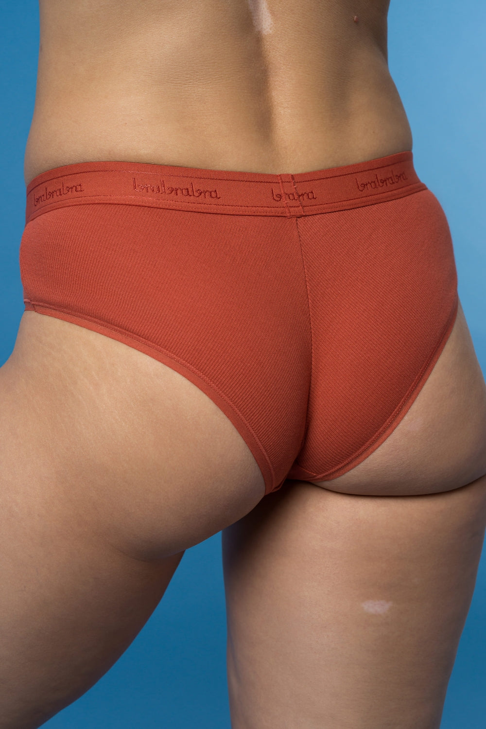 Набор хлопковых трусиков брифов SLZ24402003 (3 шт.)