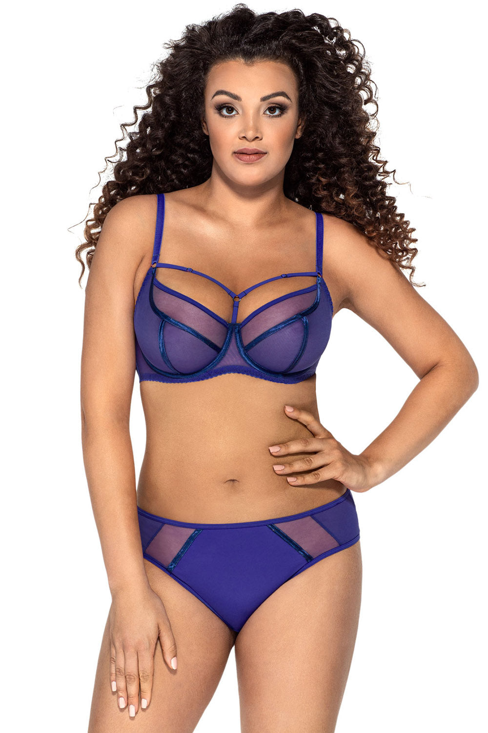 М'який бюстгальтер 1923 Protea iris