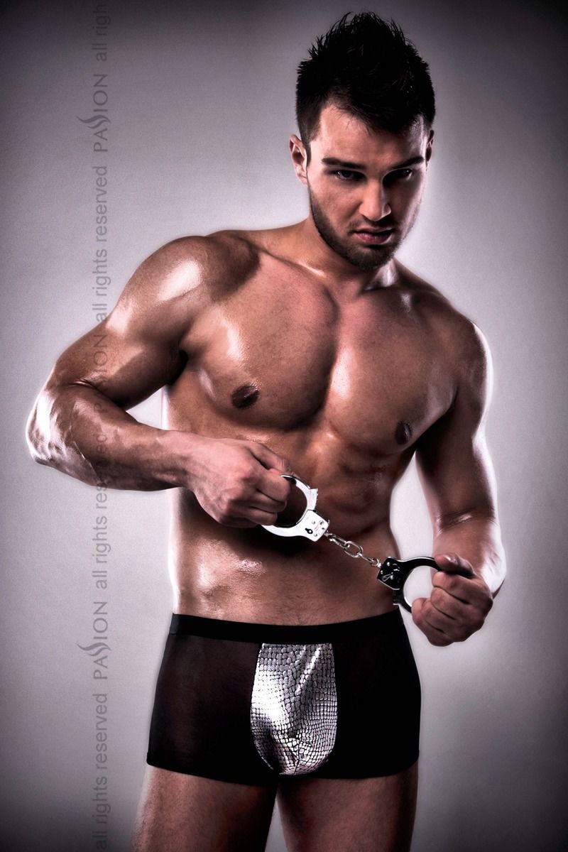 Мужские шорты с серебристой вставкой 002 Short