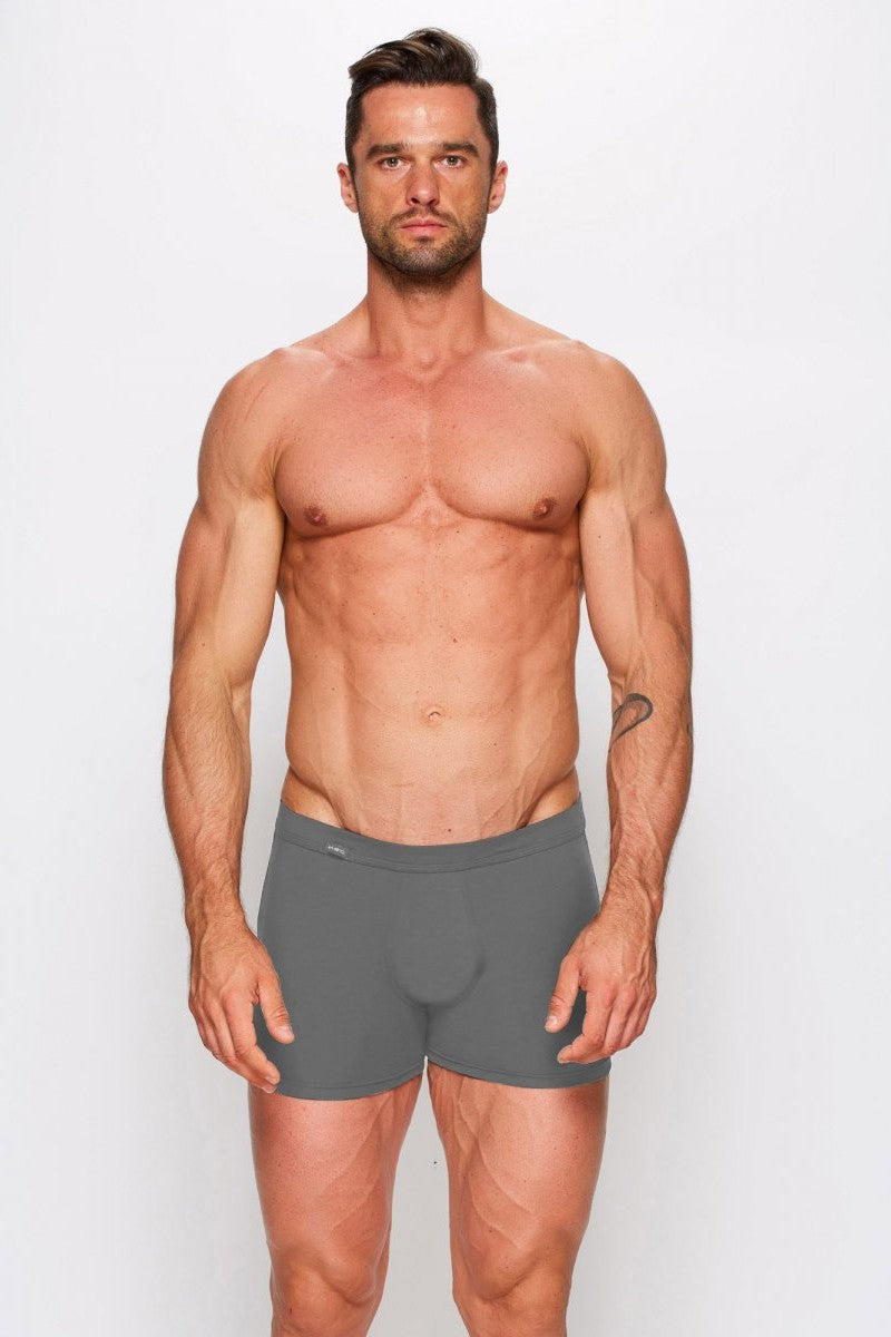 Чоловічі труси шорти 01/1-13 Long