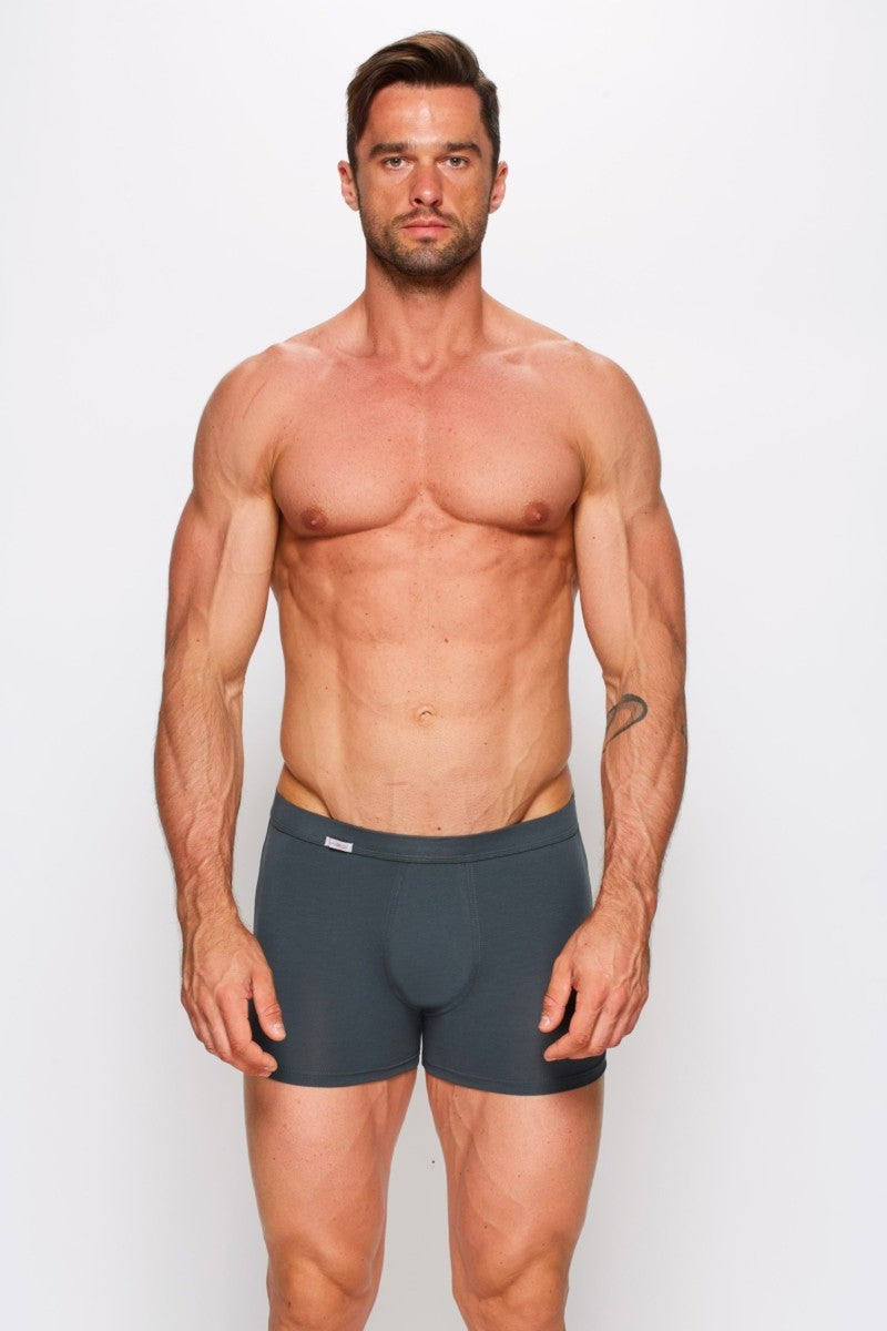 Мужские трусы шорты 01/1-13 Long