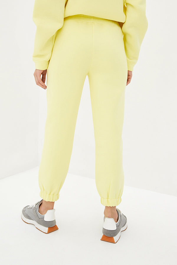 Трикотажные брюки на флисе Lemon TR0052-89-09