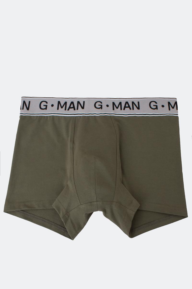 Мужские трусы шорты из хлопка 1009830 G-MAN 20401/60 khaki