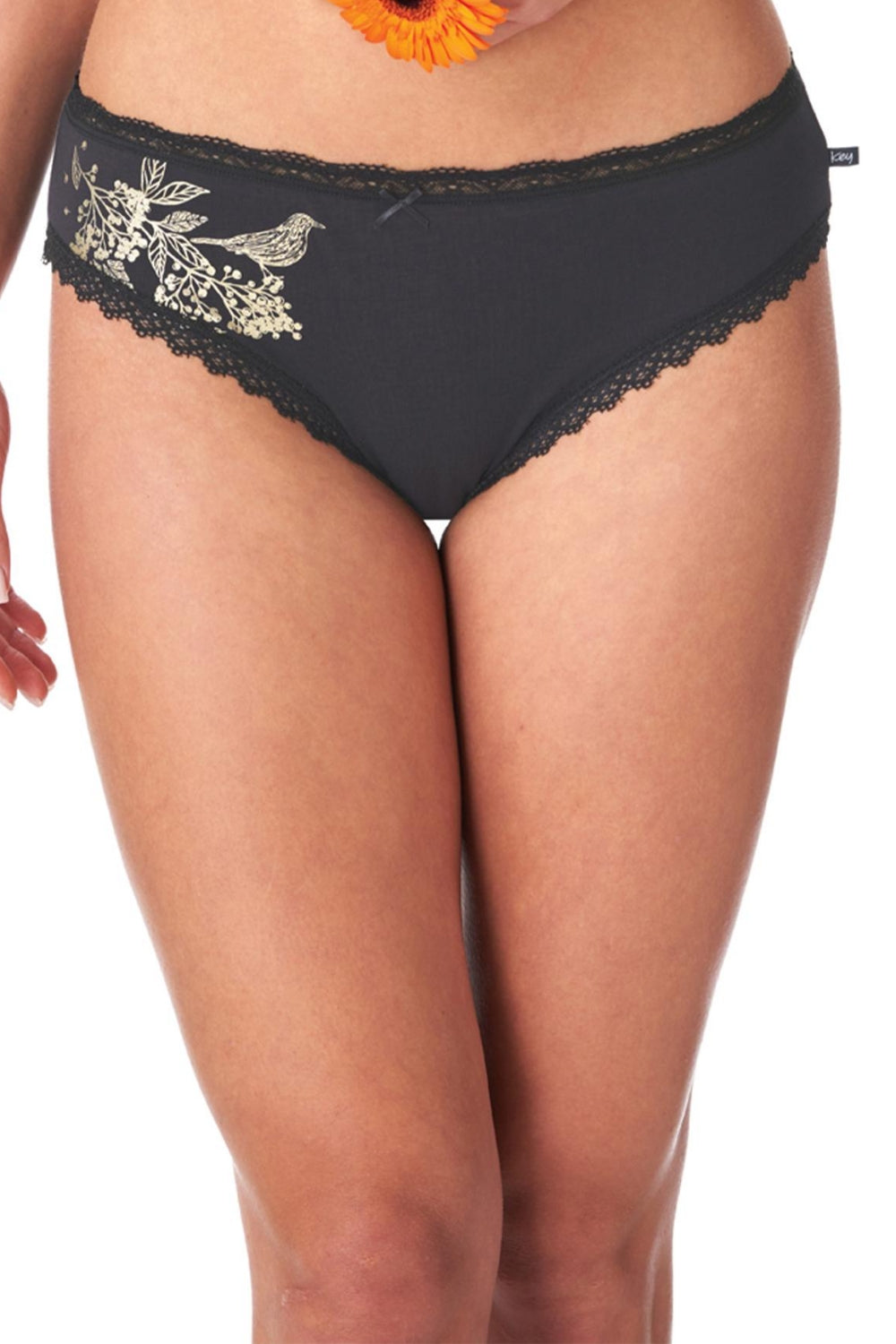 Хлопковые трусики слип LPC 785 B23 (2 шт.)