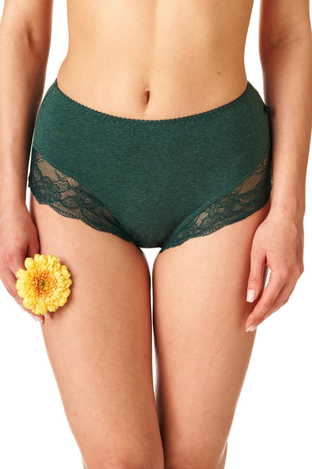 Высокие трусики слип из хлопка LPF 224 B22 (2 шт.)