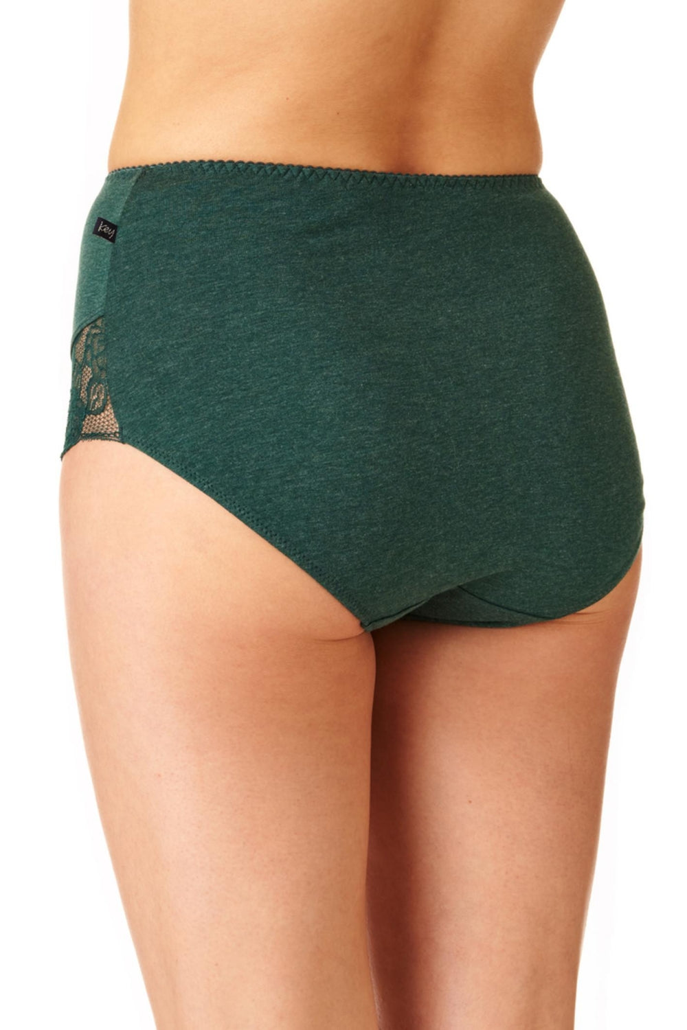 Высокие трусики слип из хлопка LPF 224 B22 (2 шт.)