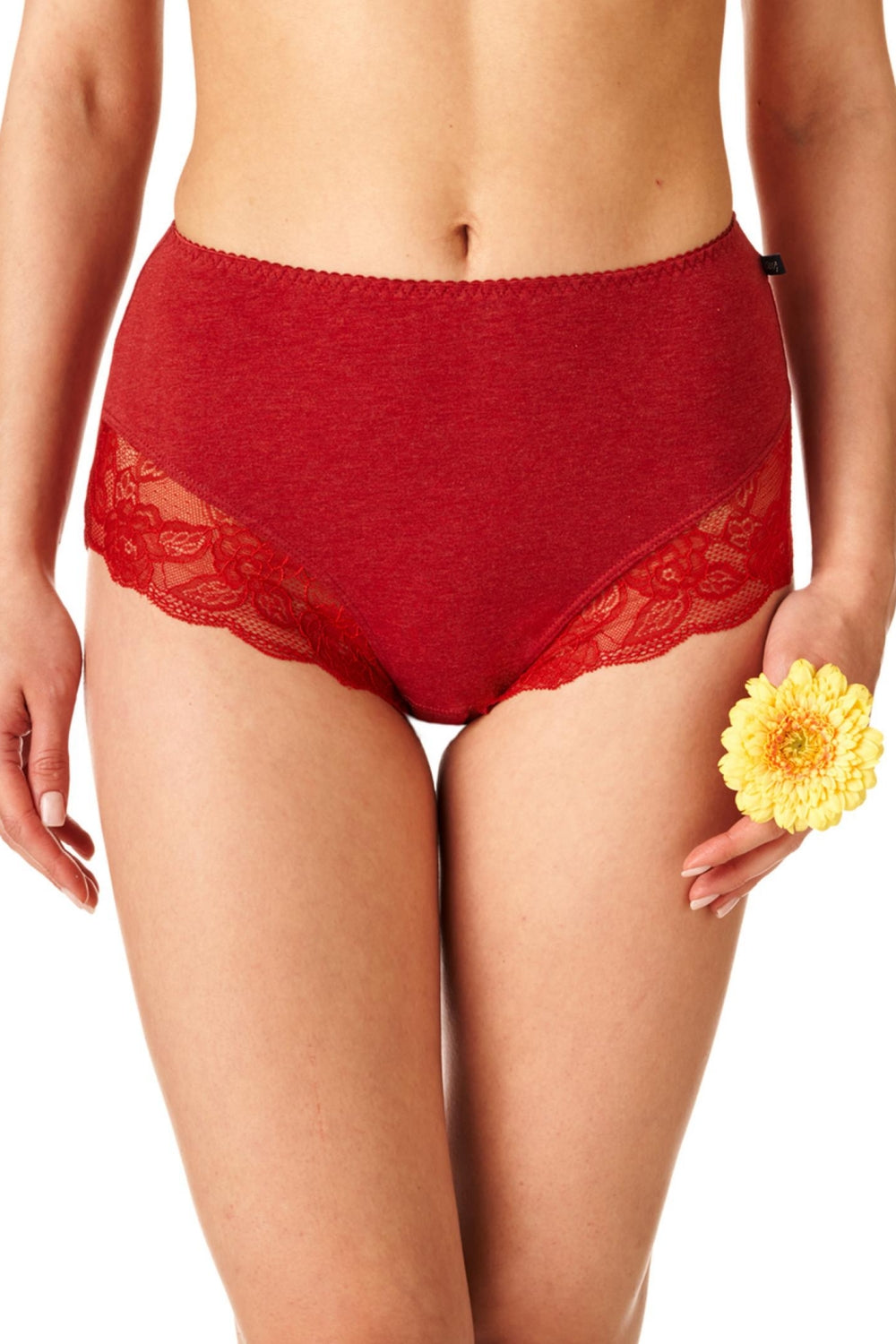 Высокие трусики слип из хлопка LPF 224 B22 (2 шт.)