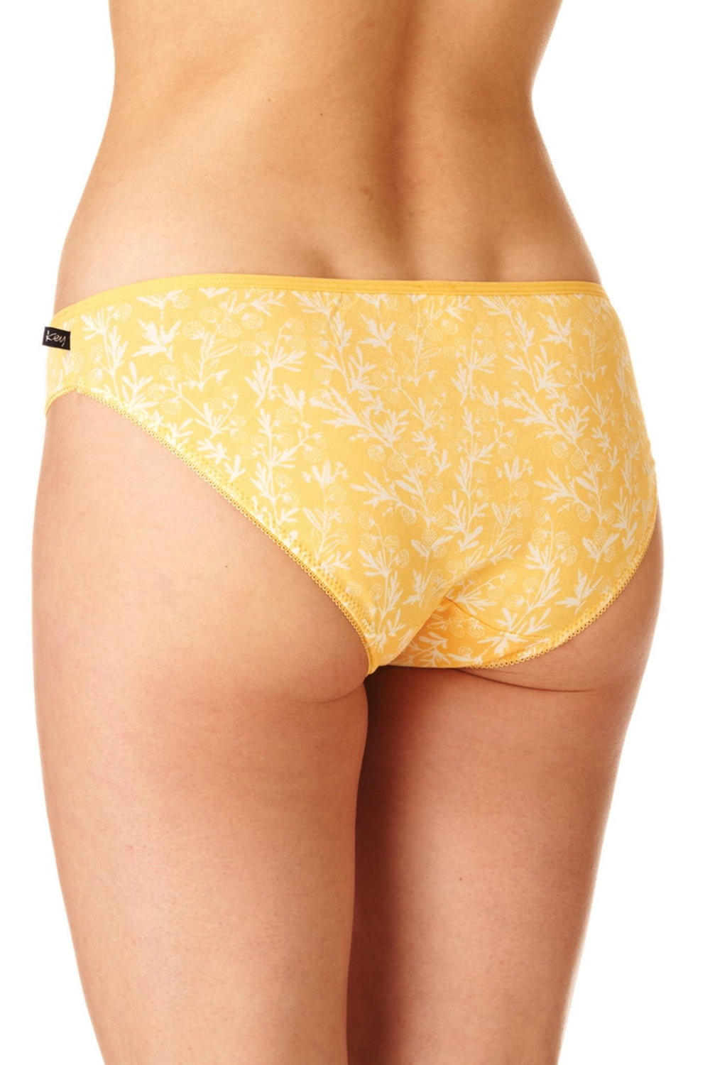 Трусики слип с принтом LPR 329 A23 (2 шт.)