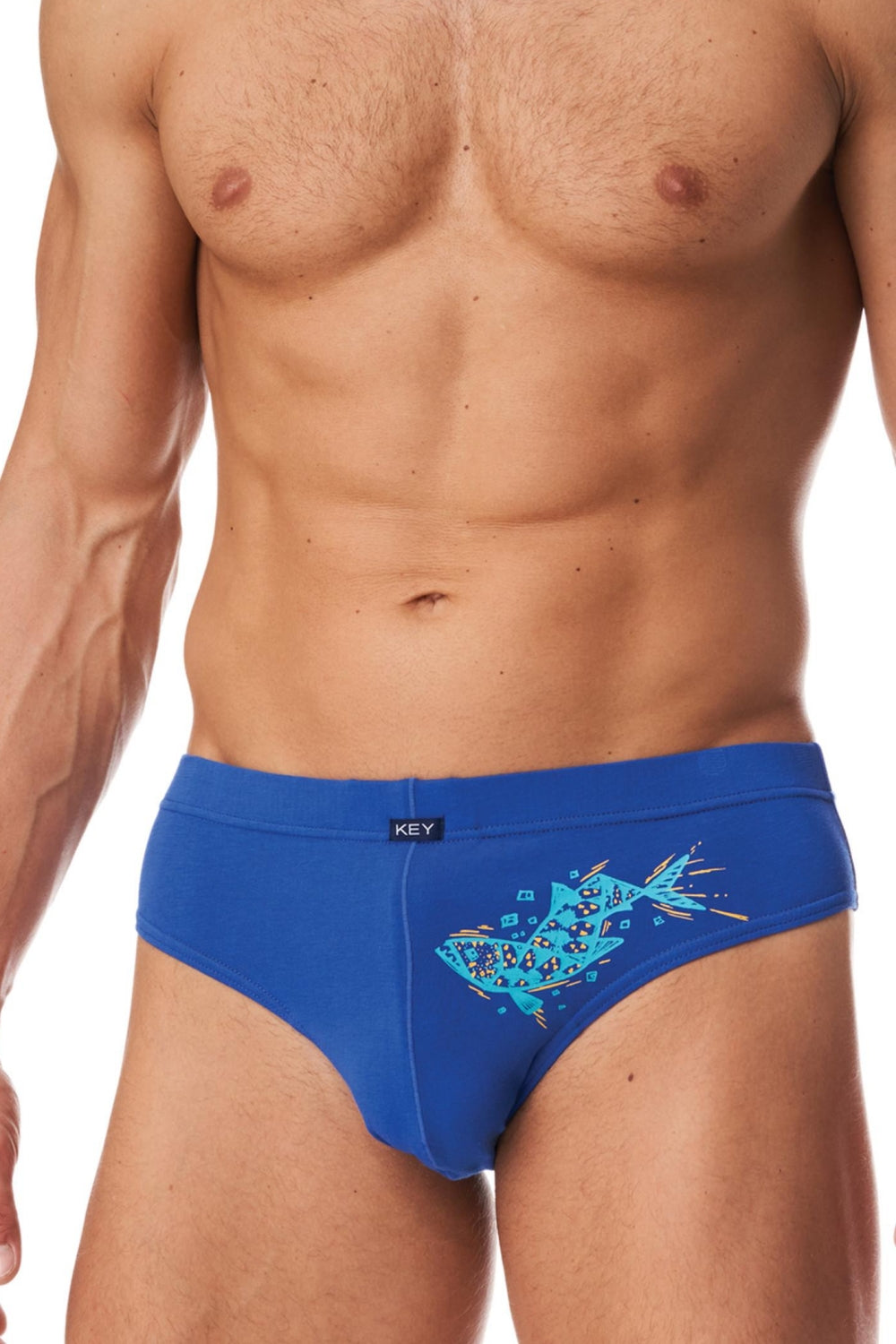 Мужские трусы слип MPP 257 A23 (2 шт.)