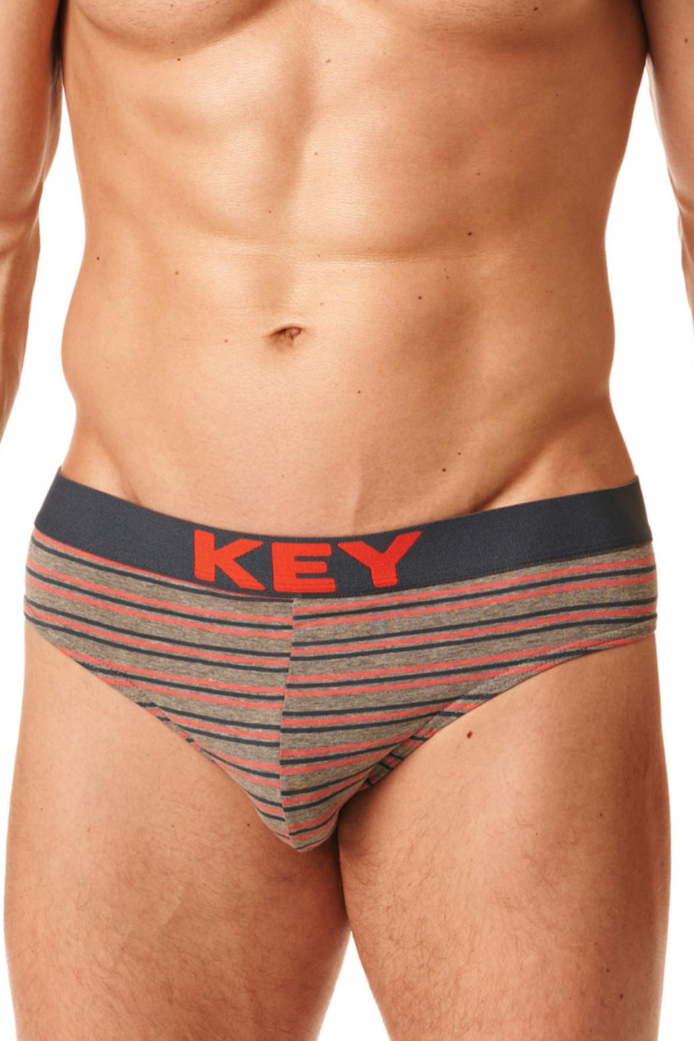 Мужские трусы слип в полоску MPP 326 B22 (2 шт.)