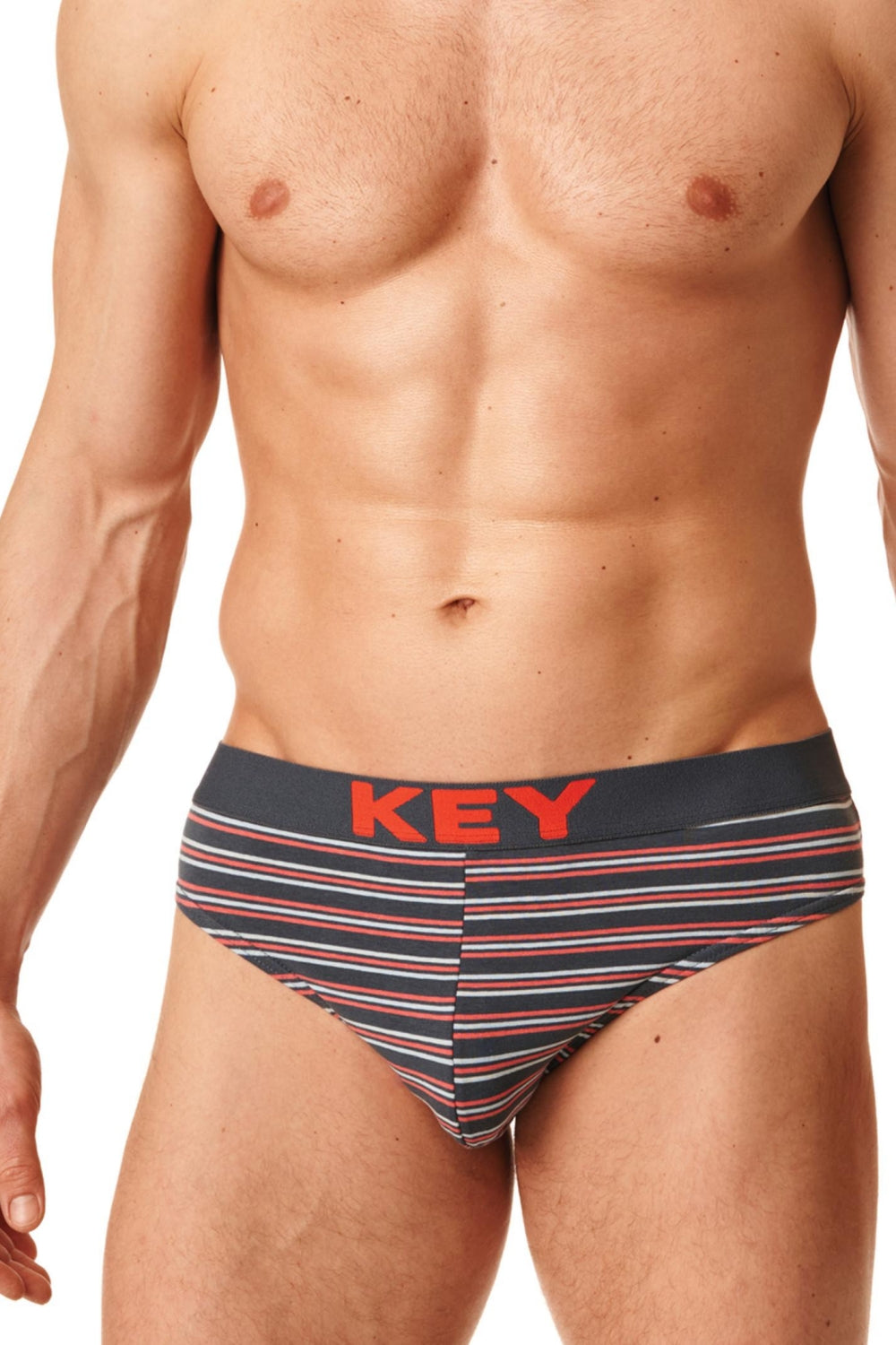 Чоловічі труси сліпи у смужку MPP 326 B22 (2 шт.)