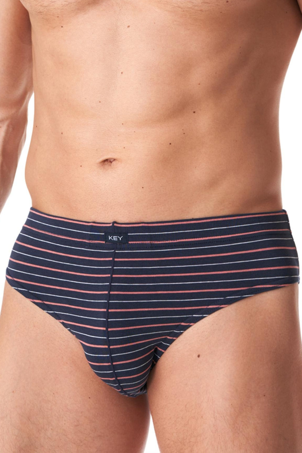 Мужские трусы слип в полоску MPP 355 B23 (2 шт.)