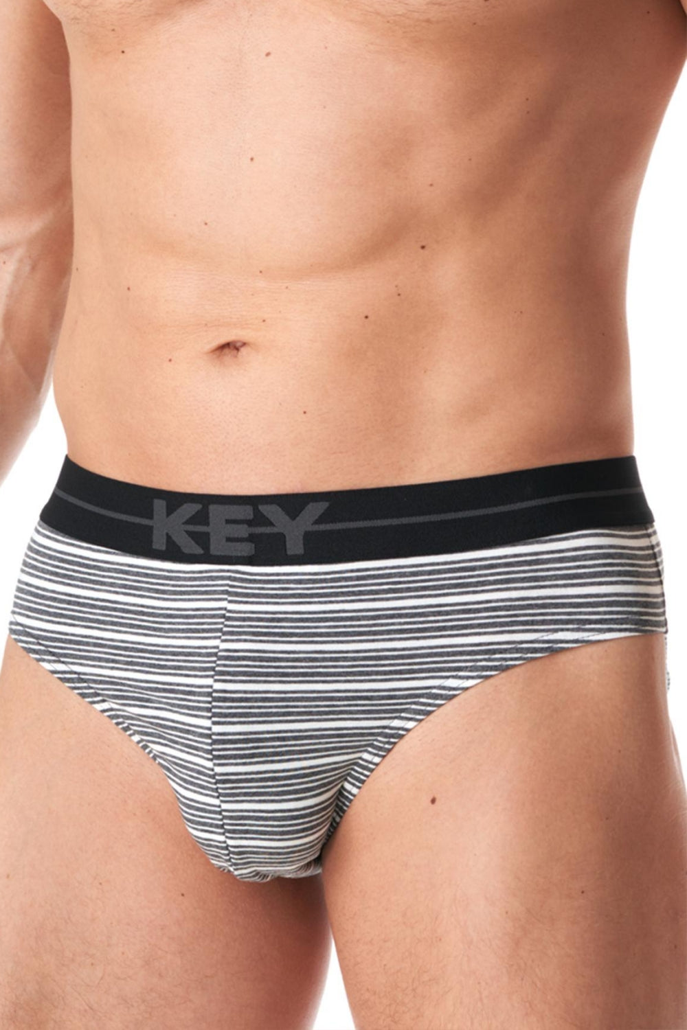 Мужские трусы слип в полоску MPP 356 B23 (2 шт.)