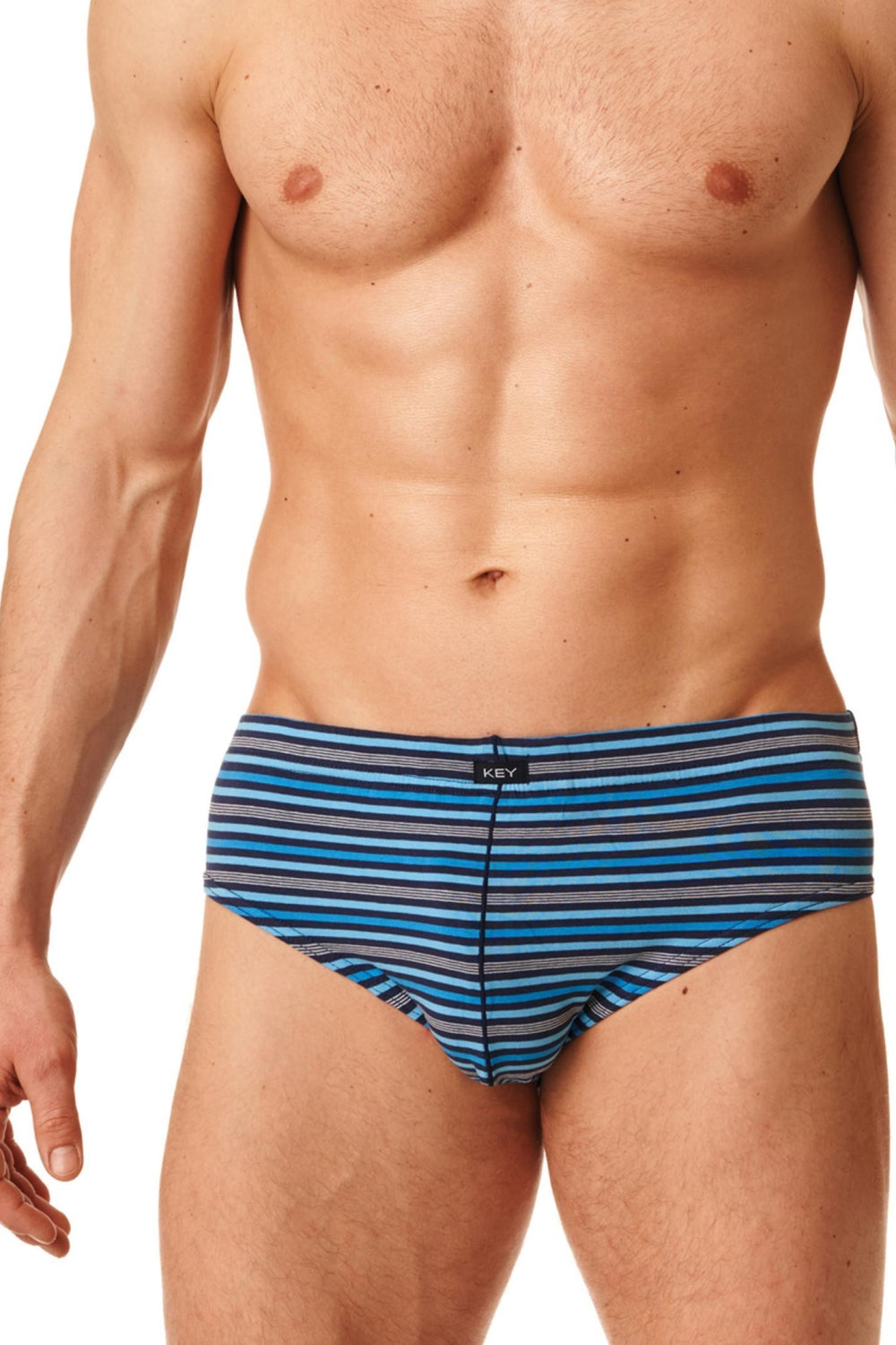 Мужские трусы слип в полоску MPP 384 B22 (2 шт.)