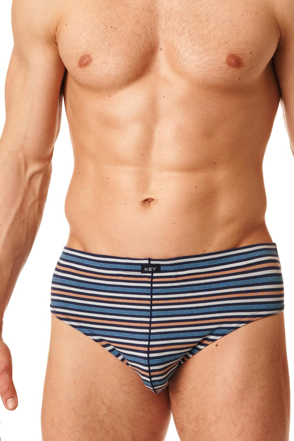 Мужские трусы слип в полоску MPP 384 B22 (2 шт.)