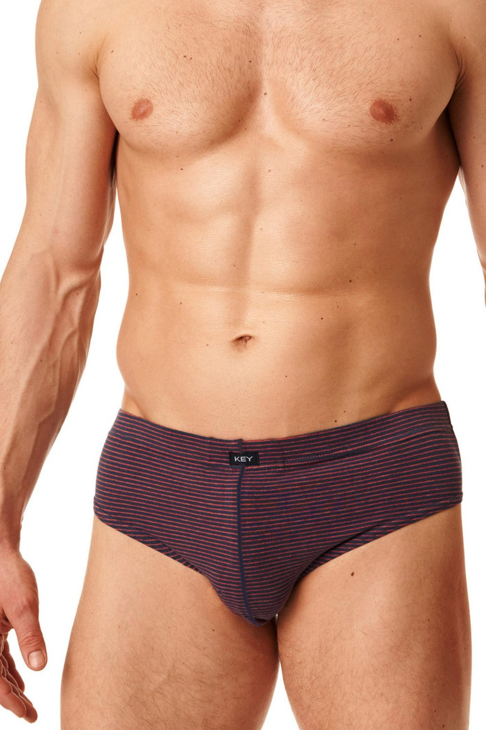 Мужские слипы в полоску MPP 395 B22 (2 шт.)