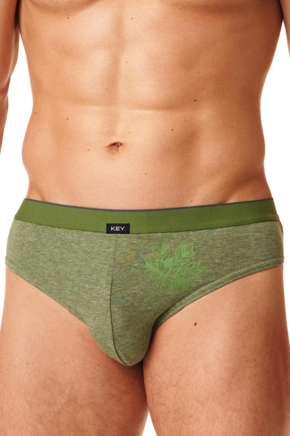 Мужские трусы слип с принтом MPP 397 B23 (2 шт.)