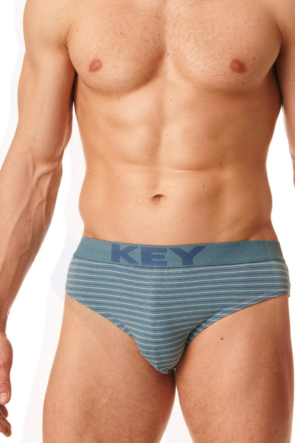 Мужские трусы слип в полоску MPP 399 B22 (2 шт.)