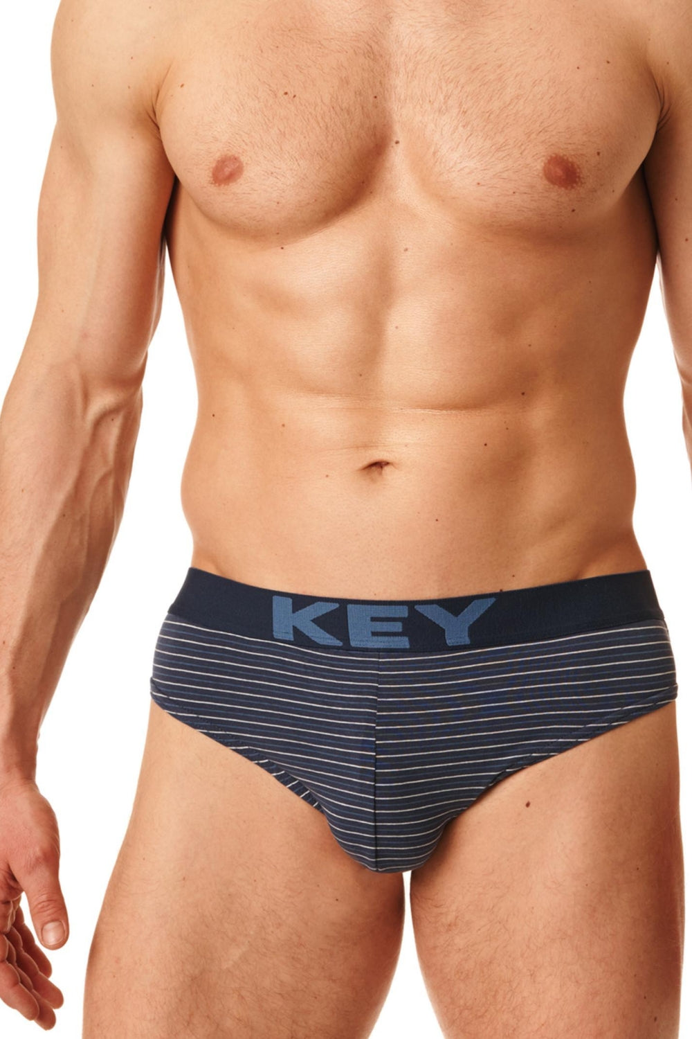 Мужские трусы слип в полоску MPP 399 B22 (2 шт.)