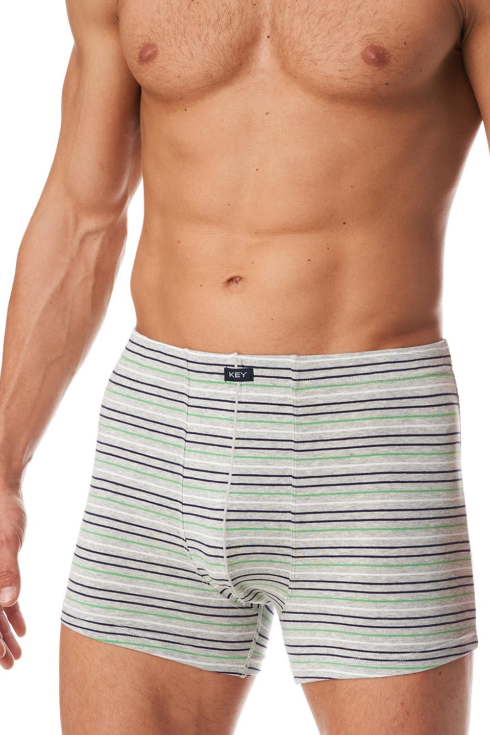 Мужские трусы шорты в полоску MXH 391 A23 gray