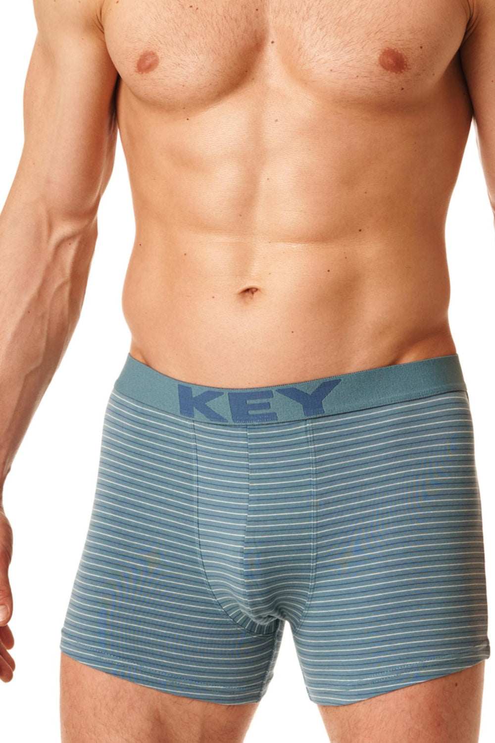 Мужские трусы шорты в полоску MXH 399 B22 light blue