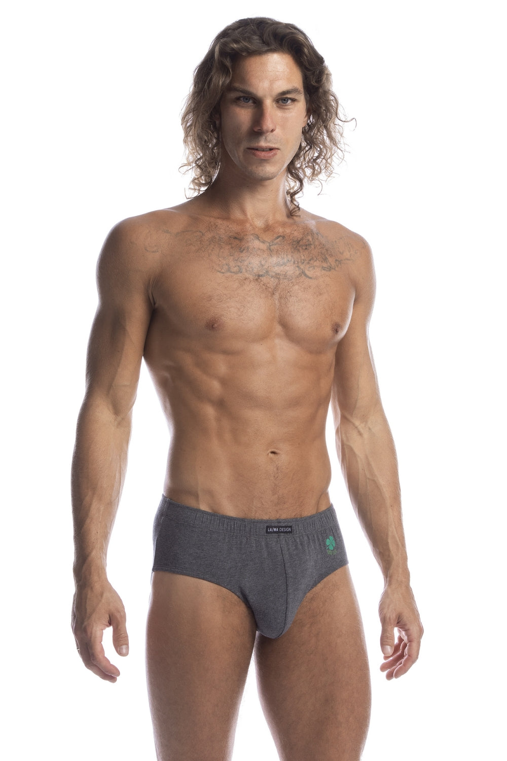 Мужские слипы из хлопка 1008CL (2 шт.)