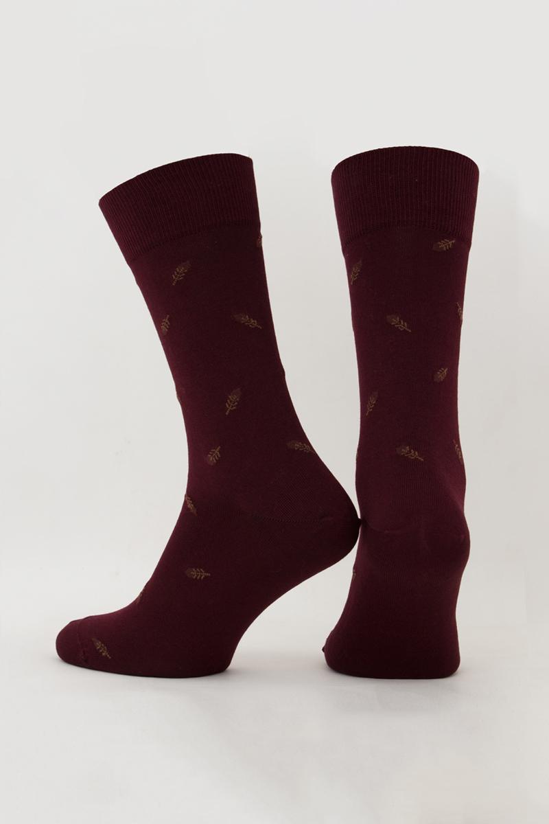Чоловічі шкарпетки з принтом MS3C/SI-306