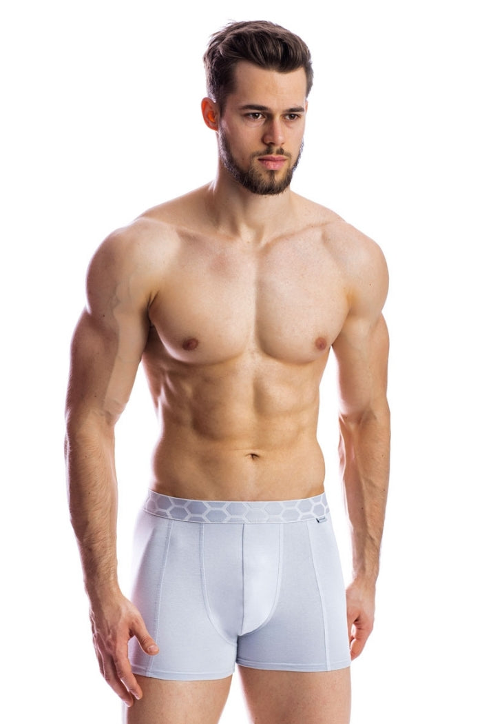 Мужские трусы шорты из хлопка BB116R grey