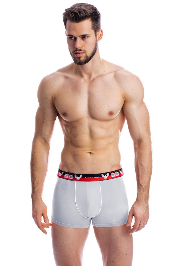 Мужские трусы шорты с логотипом BB12R grey